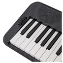 TECLADO_DE_ACOMPANAMIENTO_CON_ALTAVOCES_CASIO_CT-S300_CASIOTONE(2).jpg
