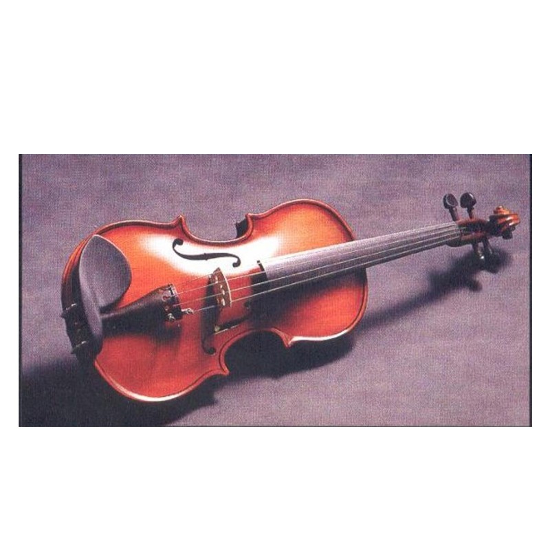 VIOLA 13" CORINA SVA-100 CHINA