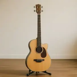 Bajo Acústico