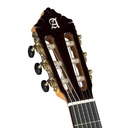 guitarra-alhambra-10fc
