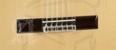 guitarra-alhambra-10fc