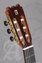 guitarra-alhambra-10fp