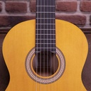 GUITARRA_CLASICA_WALDEN_WAN350W_STANDARD_300(2).jpg