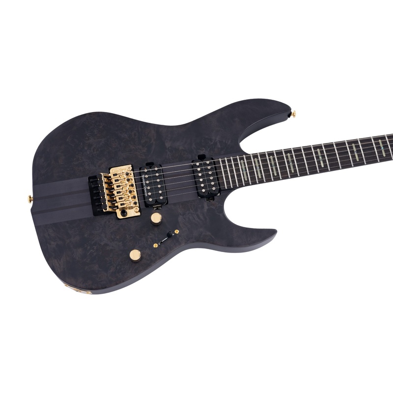GUITARRA_ELECTRICA_SIRE_GUITARS_X10_TRANS_BK_SATIN(3).jpg