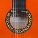 guitarra-alhambra-4f-con-golpeador