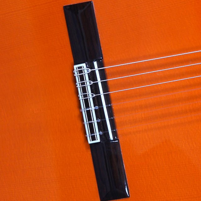 guitarra-alhambra-4f-con-golpeador