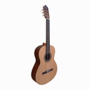 GUITARRA FERNANDEZ FZN
