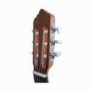 GUITARRA FERNANDEZ FZN