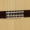 guitarra-alhambra-3f-con-golpeador