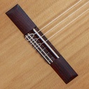 guitarra-alhambra-1c-ht