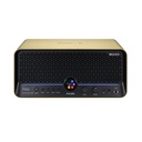 AMPLIFICADOR_COMBO_MOOER_F40I_GOLD(1).jpg