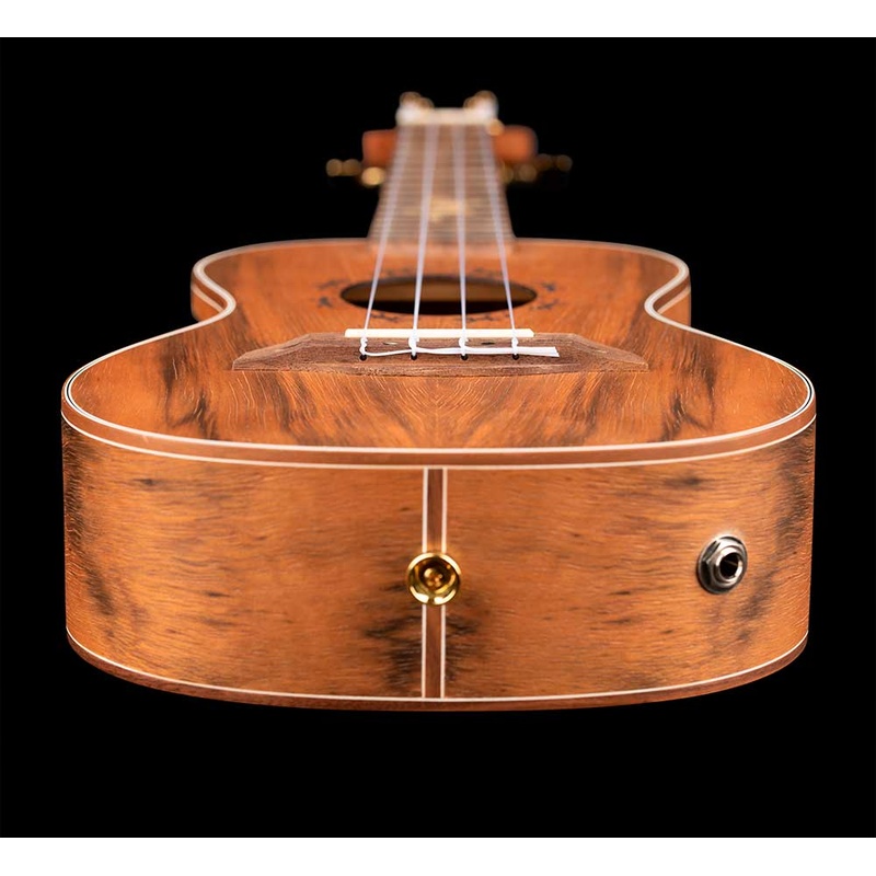 UKELELE_CONCIERTO_ORTEGA_LIZARD-CC-GB(8).jpg