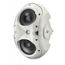 RECINTO_PASIVO_ELECTRO_VOICE_EVID_6.2W_WH(1).jpg