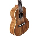 UKELELE_CONCIERTO_ALVAREZ_ARTUKE(3).jpg