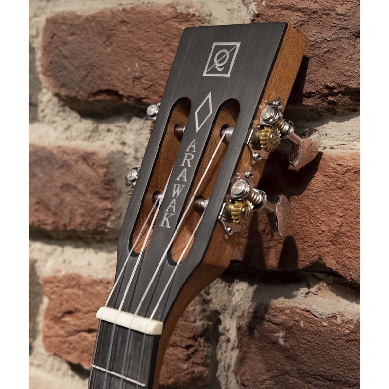 UKELELE_ELECTRIFICADO_OQAN_ARAWAK_CONCERT_CE(4).jpg