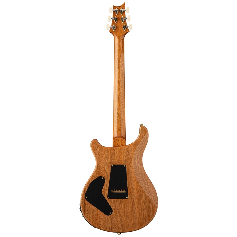 GUITARRA_ELECTRICA_PRS_GUITARS_CUSTOM_24_PIEZO_AURORA_BOREALIS(1).jpg