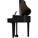 gp-6_11.webp