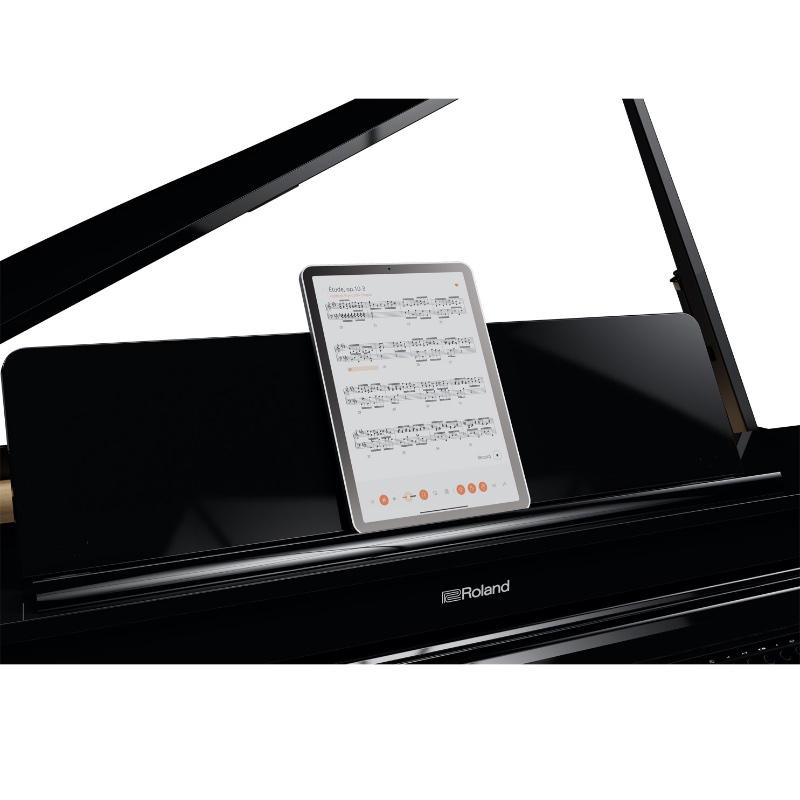 gp-6_10.webp