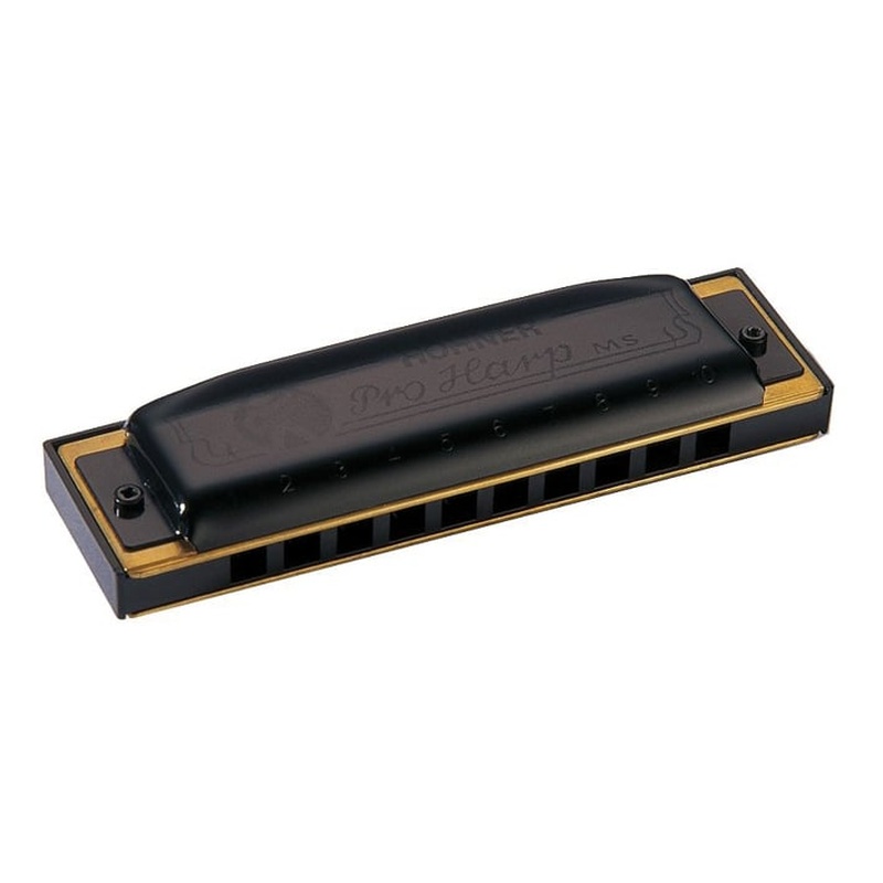 ARMONICA_DIATONICA_HOHNER_PRO_HARP_F_BK(2).jpg