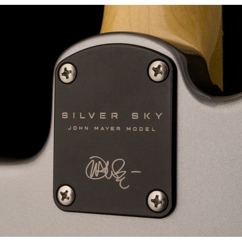 GUITARRA_ELECTRICA_PRS_GUITARS_SILVER_SKY_PB(5).jpg