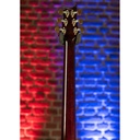 GUITARRA_ELECTRICA_PRS_GUITARS_CUSTOM_24_PIEZO_10_BK(6).jpg