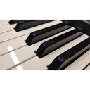 PIANO_DIGITAL_KORG_XE20(4).jpg