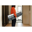 PIANO_DIGITAL_KORG_LIANO(6).jpg
