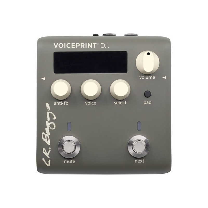 PEDAL_DI_LR_BAGGS_VOICEPRINT_DI(1).jpg