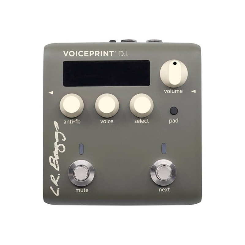 PEDAL_DI_LR_BAGGS_VOICEPRINT_DI(2).jpg