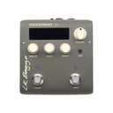 PEDAL_DI_LR_BAGGS_VOICEPRINT_DI(2).jpg
