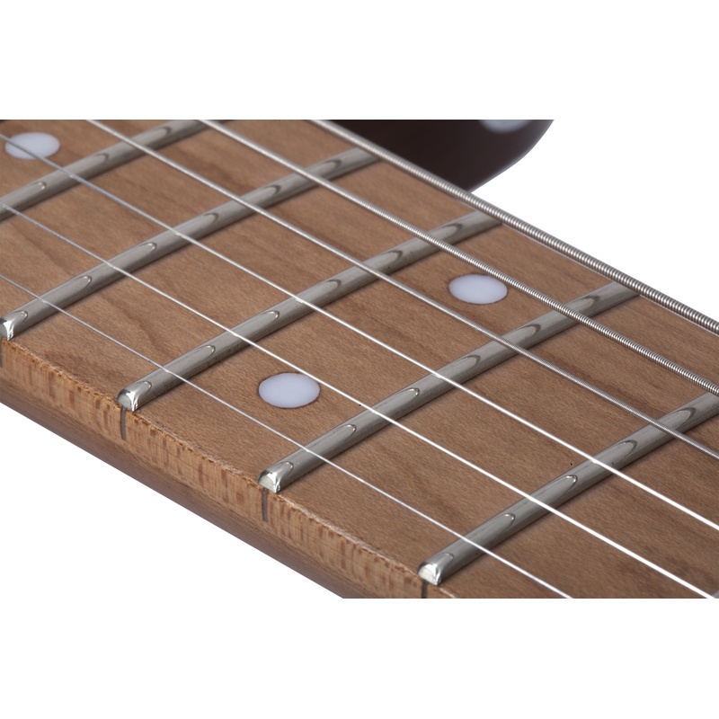 GUITARRA_ELECTRICA_SCHECTER_PT_VAN_NUYS_700_GNAT_ASH(9).jpg