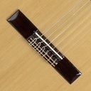 GUITARRA ALHAMBRA 2C A + FUNDA