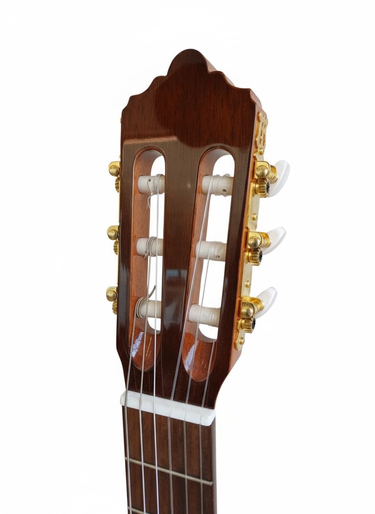 Guitarra Fernández 2C