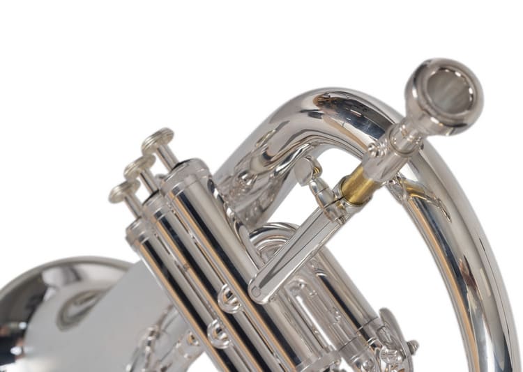 Fliscorno J. Michael FG-550S Plata