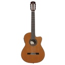 GUITARRA_ELECTROACUSTICA_ALVAREZ_AC65CE(1).jpg