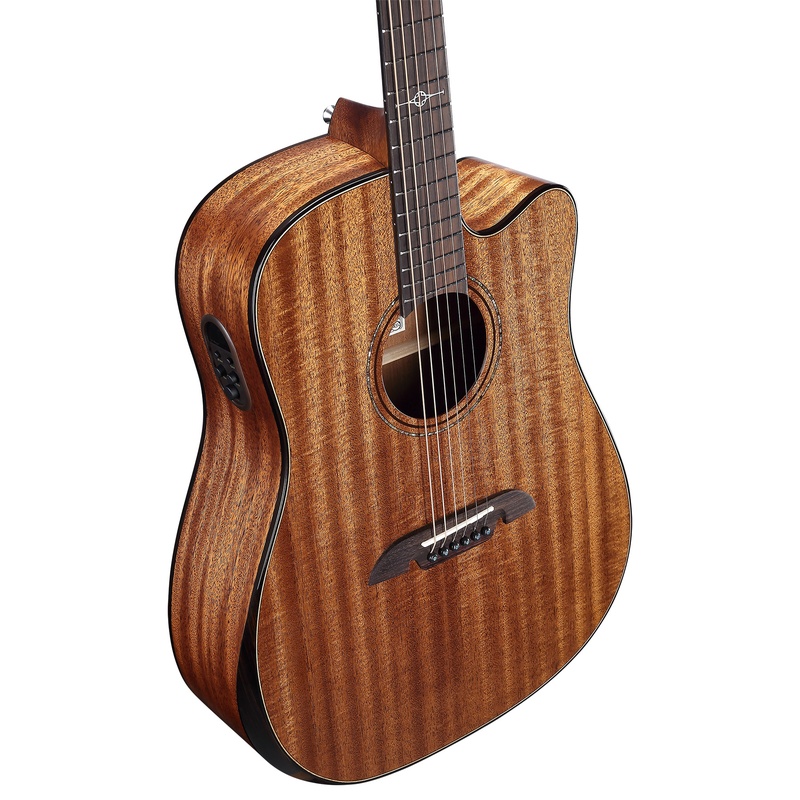 GUITARRA_ELECTROACUSTICA_ALVAREZ_AED66_CE_ARMREST_ELITE(2).jpg