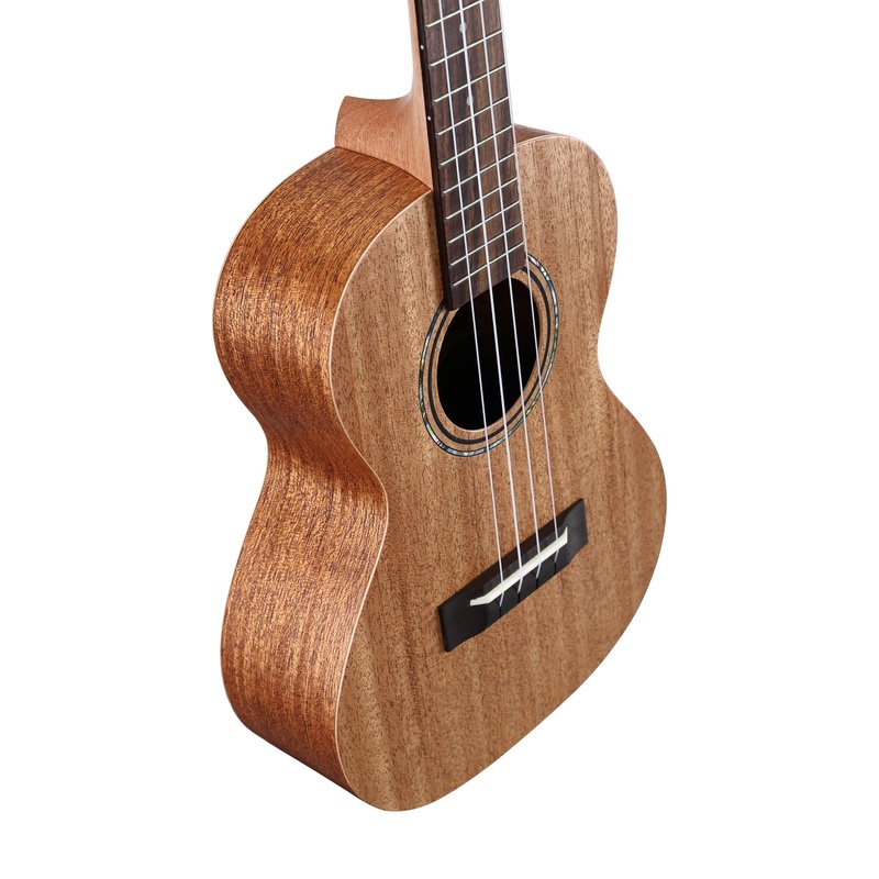 UKELELE_ALVAREZ_REGENT_RU22T(3).jpg