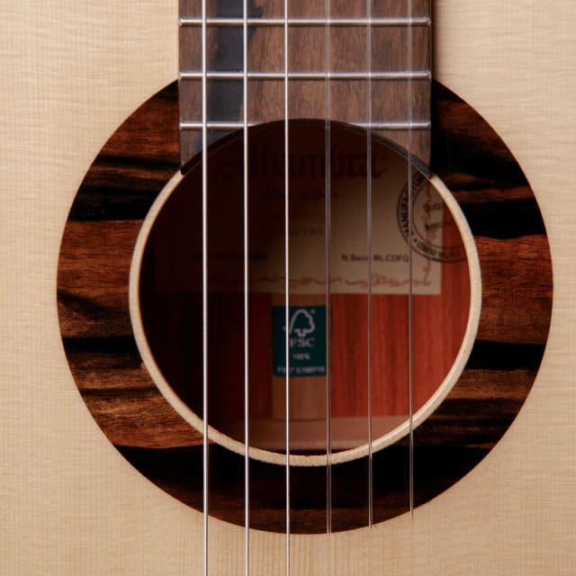 Guitarra Alhambra Green Sustain Classic