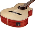 Guitarra Alhambra Green Sustain CTW E8