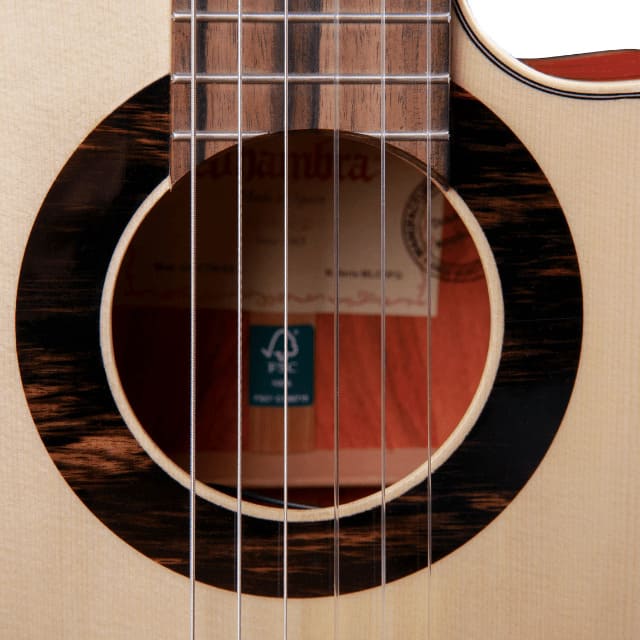 Guitarra Alhambra Green Sustain CTW E8