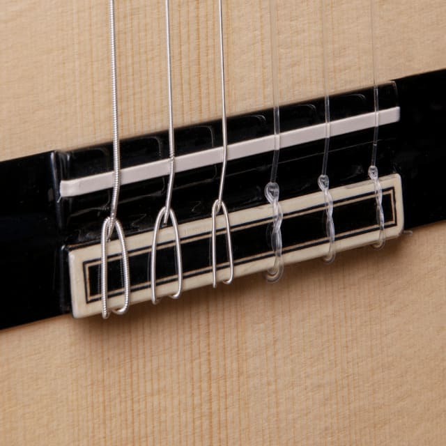 Guitarra Alhambra Green Sustain CTW E8