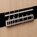 Guitarra Alhambra Green Sustain CTW E8