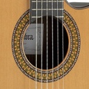 Guitarra Alhambra 9P CW E8 + Estuche