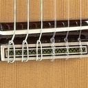 Guitarra Alhambra 9P CW E8 + Estuche