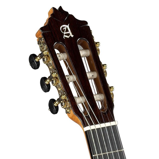 Guitarra Alhambra 9P CW E8 + Estuche