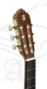 guitarra-alhambra-5p
