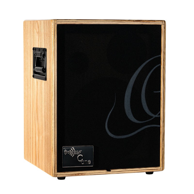 Amplificador Acustico De Gitarra Combo Ortega Cone-Ash