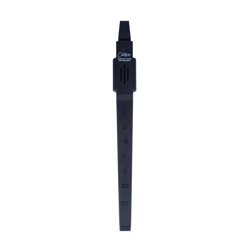 Instrumento De Viento Digital Carry On Bk