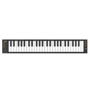 Teclado Controlador Midi Carry On Fc49 Folding