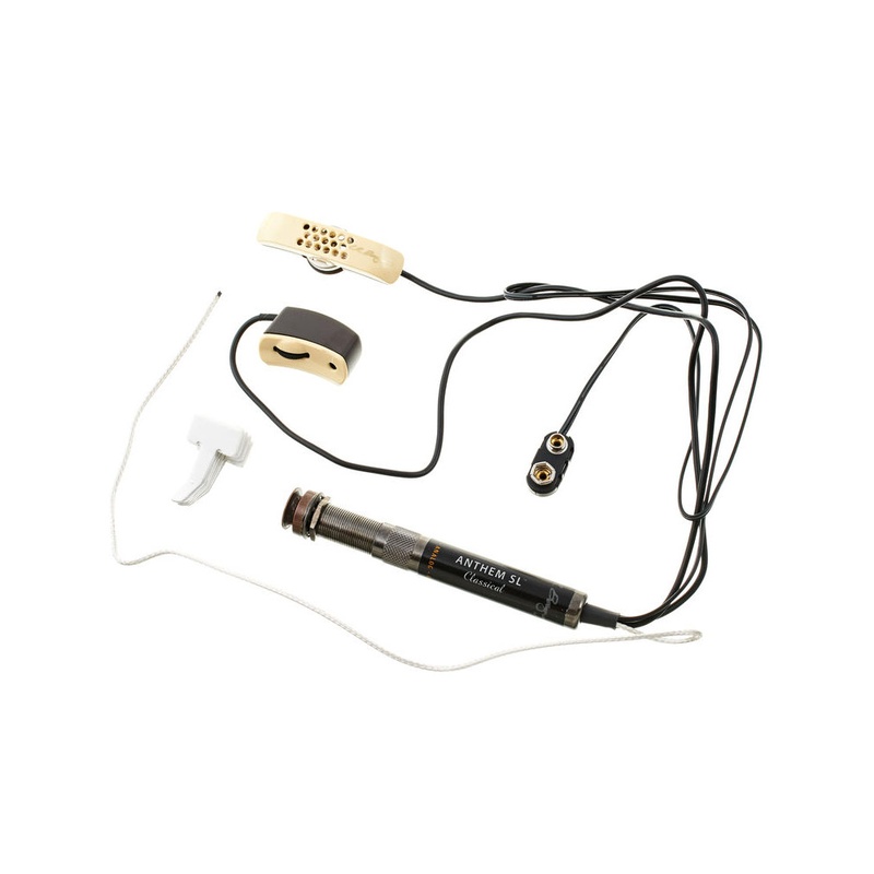 Pastilla Gitarra Acustica Lr Baggs Anthem Sl-C